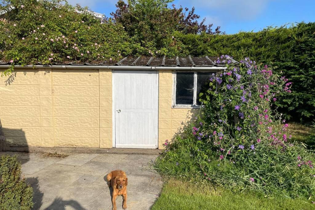 3 Bed Bungalow In Winchcombe, Cotswolds,Gloucester Exterior photo